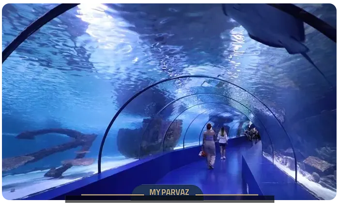 The world's largest aquarium tunnel